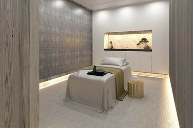 Celebrity Cruises Celebrity Edge Treatment.jpg